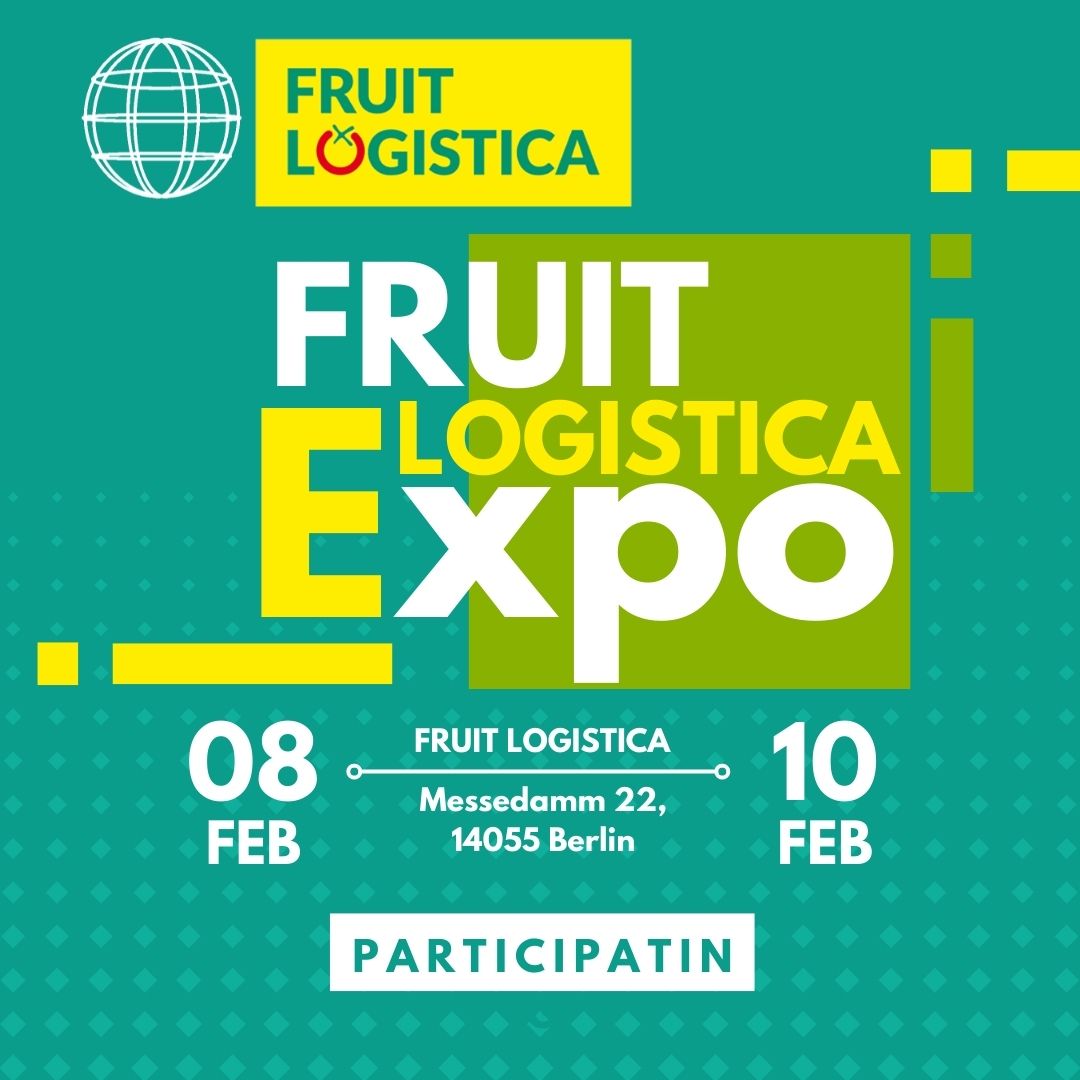 Exhibitions
