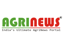 News & Media